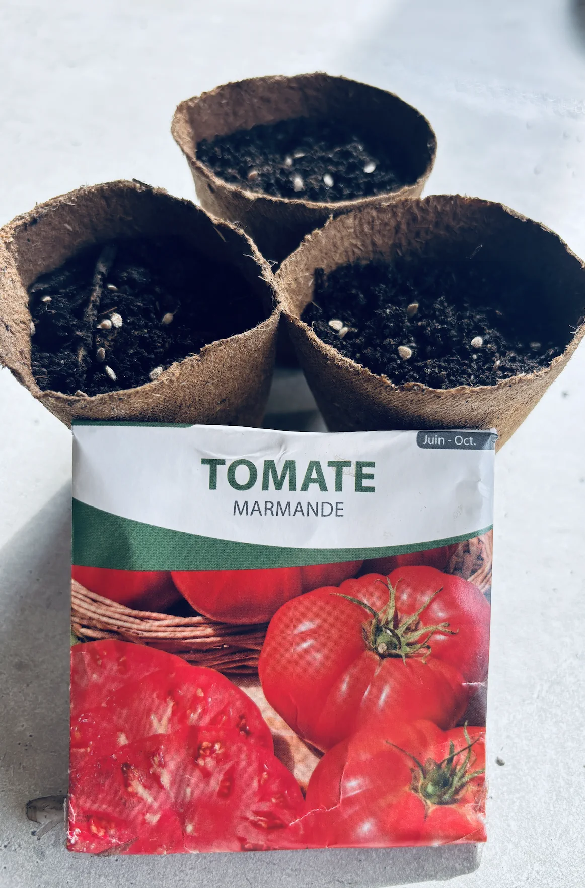 Comment faire ses premiers semis de tomates : guide complet pour debutants